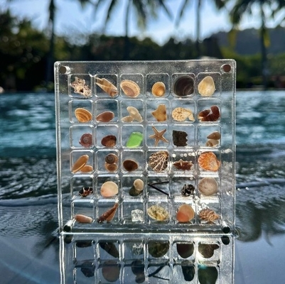 Nuovo design Magnetico Muscolo di conchiglie Acrilico Display Box per gioielli Box di stoccaggio